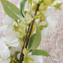 将图片加载到图库查看器,White Cherry Blossom (Single Stem)