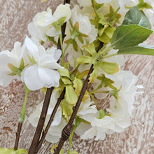 将图片加载到图库查看器,White Cherry Blossom (Single Stem)