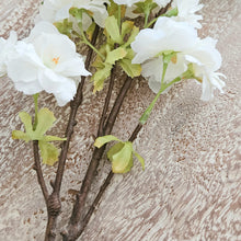 将图片加载到图库查看器,White Cherry Blossom (Single Stem)