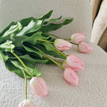 将图片加载到图库查看器,Pink Tulip (Single Stem)