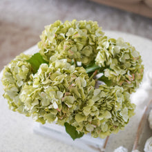 将图片加载到图库查看器,Green Dried Hydrangea (Single Stem)