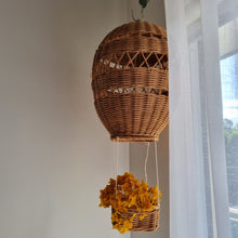 Load image into Gallery viewer, Dreamy Hot Air Balloon