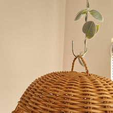 Load image into Gallery viewer, Dreamy Hot Air Balloon