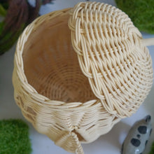 将图片加载到图库查看器，Acorn Rattan House
