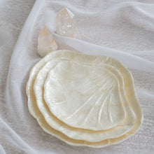 画像をギャラリービューアに読み込む, Clam Pearl Trinket Dish
