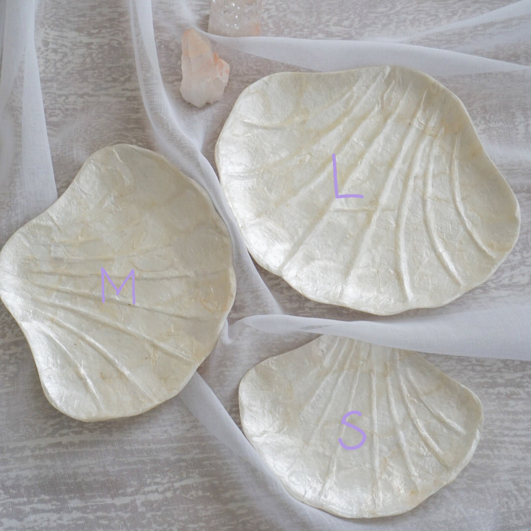 Clam Pearl Trinket Dish