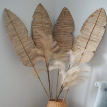 이미지를 갤러리 뷰어에 로드 , Banana Leaf Branches
